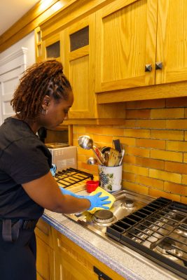 Monthly housecleaning service