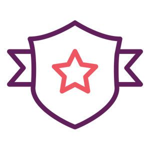icon011
